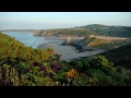 Gower