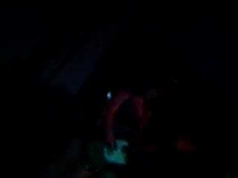 She's Not Leaving Video