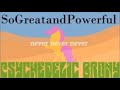 Psychedelic Brony - Never Never Never (with SoGreatandPowerful)