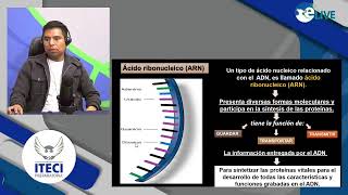 Biología Ii Los Genes