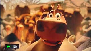 Madagascar Franchise 2005-2014 - Rhino -Screen Time