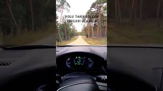 Ayvayi Yedi̇k Mi̇ Şi̇mdi̇