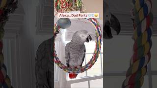 Guess What Alexa? Dad Farts