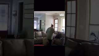 Kid Bites Dads