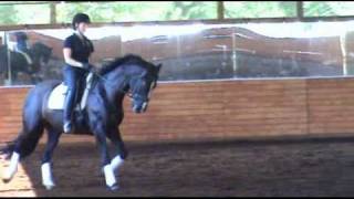 Raphael Schooling July.wmv