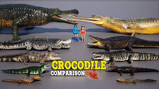 Crocodiles The Size 3D Comparison Extinct