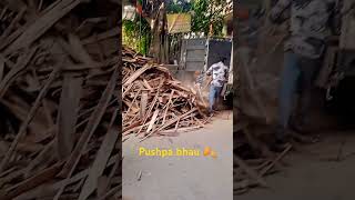 Ek Tan Ka Kitna Pushpa