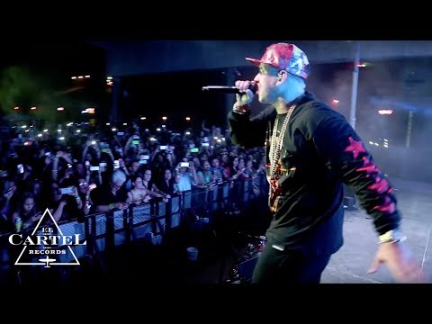 Daddy Yankee - Isla del Padre Texas 2014 HD