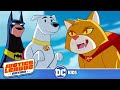 Justice League Action | Heroic Animals | DC Kids