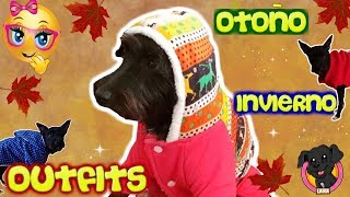 Haul OUTFITS ROPA para mi PERRO CACHORRO / Vamos de Compras! Funnydogs Lana