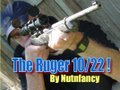 Ruger 10/22: The Everyman's Rifle, Part 1