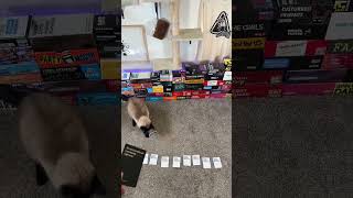 Cards Against Humanity