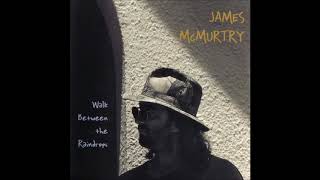 Watch James Mcmurtry Comfortable video