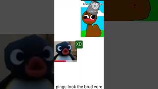 Pingu Look The Brud Vore