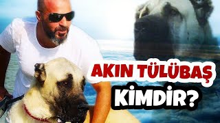 Akin Tülübaş Ki̇mdi̇r? Hakkında Bütün Herşey Bu Videoda Euro Kangal Vi̇deolari