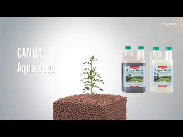 Watch (Deutsch) CANNA Aqua Vega on YouTube.