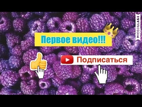 Первое видео на ютубе сценарий Первое видео на ютубе сценарий