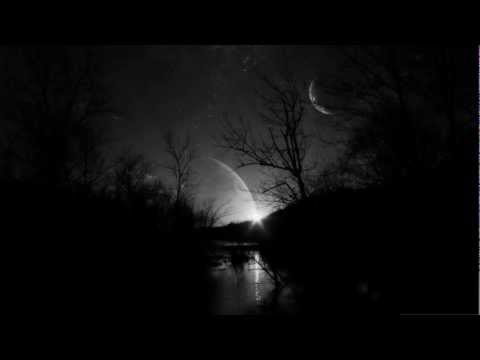 My Life Video