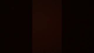 testvid5