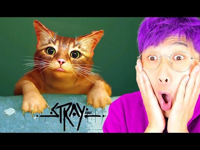 Play this video LANKYBOX Playing STRAY!? FULL GAME PLAY!