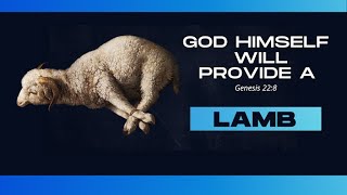 Did God provide a Lamb or a Ram? Prophetic Teaching