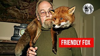 Friendly fox becomes house pet