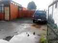 pajaritos duchandose