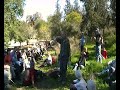 עמיתים