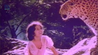 Tarzan Sundari Telugu Full Movie Part 2 || Silk Smitha, Jamuna, Vinod Tarzan Sundari Telugu Full Movie Part 2 || Silk Smitha, Jamuna, Vinod