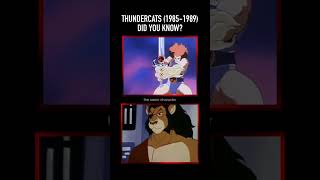Did You Know This About Rankinbs Work On Thundercats 1985-1989?