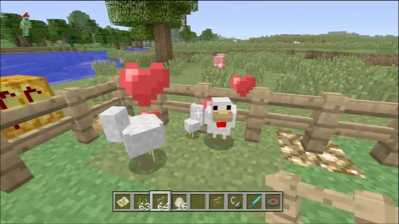 How To Breed Chickens Minecraft