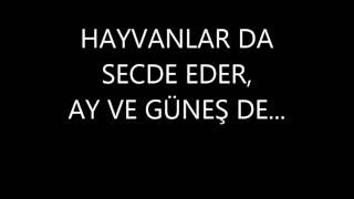 Hayvanlar Da Secde Eder Hayvan Namaz Kılar, Insan Anlamaz