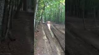 Mud Trail