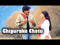 Chiguraku Chatu Full Video Song || Pawan Kalyan, Meera Jasmine || Telugu Videos