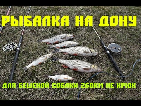 ловля судака на дону в воронеже видео ловля судака на дону в воронеже видео