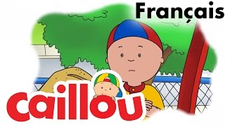 Caillou Français - Le Mini Marathon S05E17 Conte Pour Enfant Caillou En Français