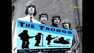 Watch Troggs Bass For My Birthday video