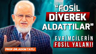 Fosiller Ne Anlatıyor? Ara Form Var Mı? Kambriyen Patlaması Evrimci İddiaları Nasıl Bitirdi?