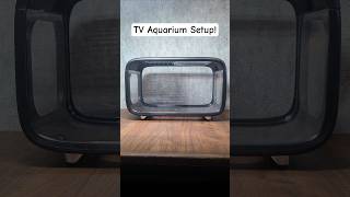New Tv Aquarium For My Fish