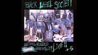 Watch Black Label Society No More Tears video
