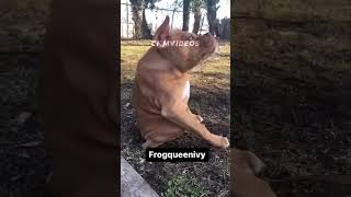 Çok Yoruldum Lan Herşeyle Mücadele Etmekten