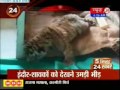 news24