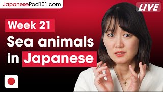 Sea Animals In Japanese Learn Japanese Vocabulary Week 21