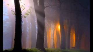 Watch Ninfa Artemis Exorcist video