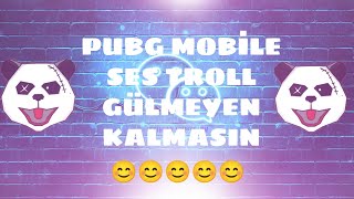 Ses Troll Çocuk Sesi̇ Hayvan Sesleri̇ Yaptik Gülmekten Yikildik Pubg Mobi̇le