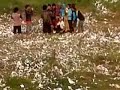 image Akibat Bermain Petasan Tubuh Hancur Tragedi Mercon Pemalang