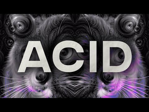 Devin Wild - ACID EP (Full Video Mix)