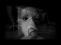 Dargaard - Fire's dominion