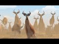 Khumba images Khumba