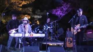 Watch Hothouse Flowers At Last video